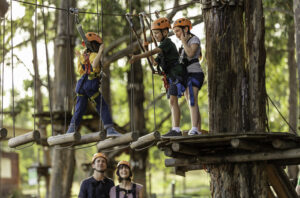 Treetops Adventure Park Central Coast Photo Credit Destination NSW