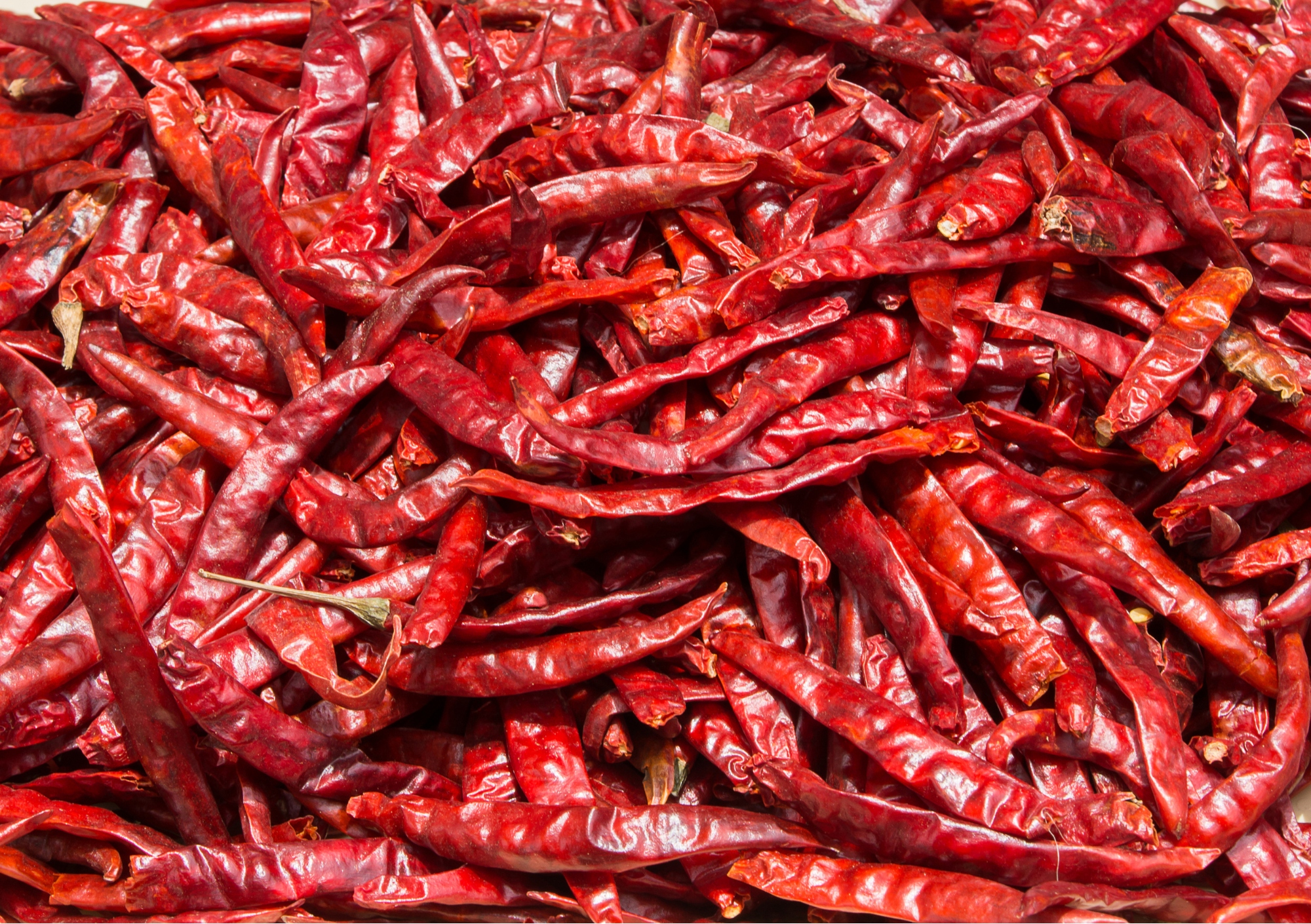 Central Coast Chilli fest 2026