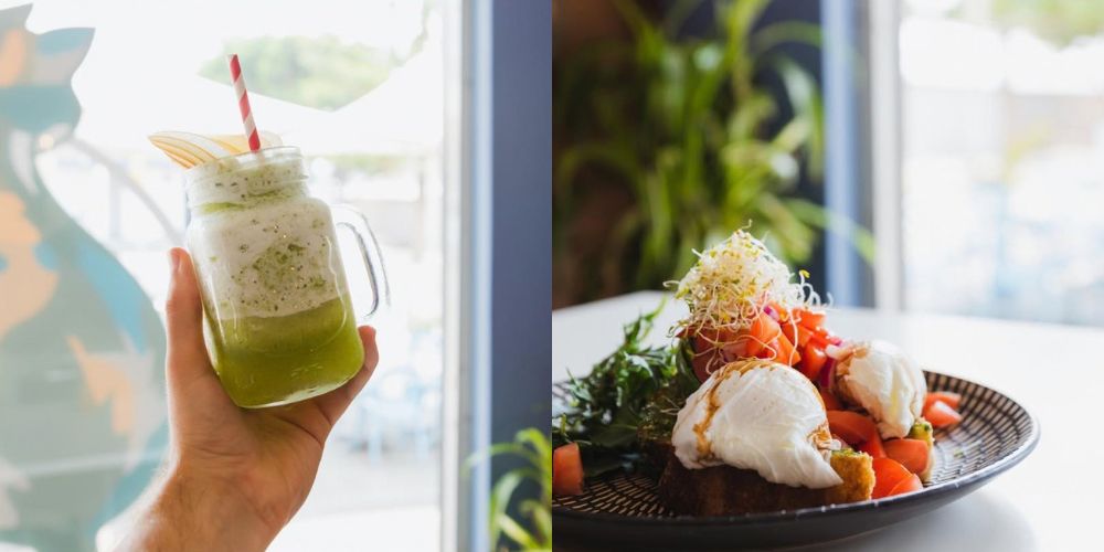 Fresh smoothie and wholesome brunch dish at Usui Café The Entrance, featuring a green smoothie, poached eggs, fresh vegetables and vibrant café dining in a relaxed setting.
